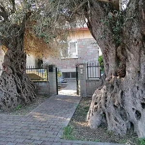 La Casa Degli Ulivi Appartement Turri